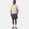 Carhartt WIP SS25 Chase Swim Trunks Mesh Lining Side Seam Pocket Logo Embroidered Swim Shorts Men Swim Trunks Dark-Blue I035062-2Q8-XX