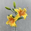 3D Printing Fake Lily Bouquet 2 Heads Wedding Bridal Bouquet  for Home Wedding Decor