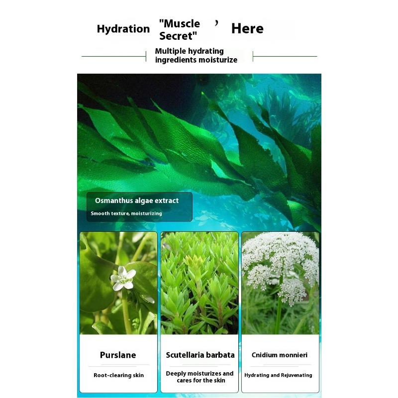 Moisturizing Seaweed Hydrating Eye Mold Moisturizing