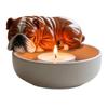 Long Time Use Resin Animal Tray for Pet Friendly Households