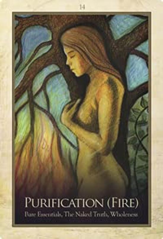 Kancharo Oracle Cards 45 Pieces Tarot Fortune Telling Japanese Oracle Card Basic Instructions Pouch Included [GAIA Oracle] & (Genuine Product)