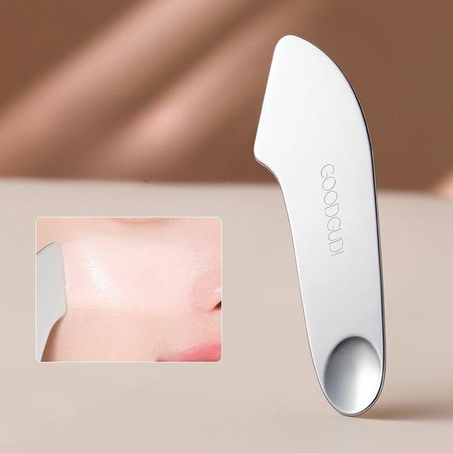 Puremantis - Stainless Steel Foundation Scraper (Various Designs) / Set Set of 2 Pcs - 01 & 02 - Silver