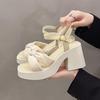 Coarse heel sandals women's 2025 new middle-aged and elderly mothers fashionable versatile soft sole non-slip comfortable and not tired high heels