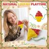 Natural Loofah Cat Toy for Scratching and Chewing Durable Pet Self-Entertainment Interactive Catnip Toy for Dental Health and Play