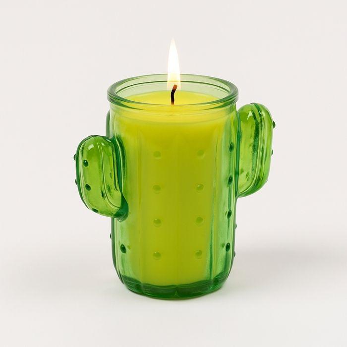 

Bougie Citronnelle Cactus en Pot – Anti-Moustique Extérieur Durable