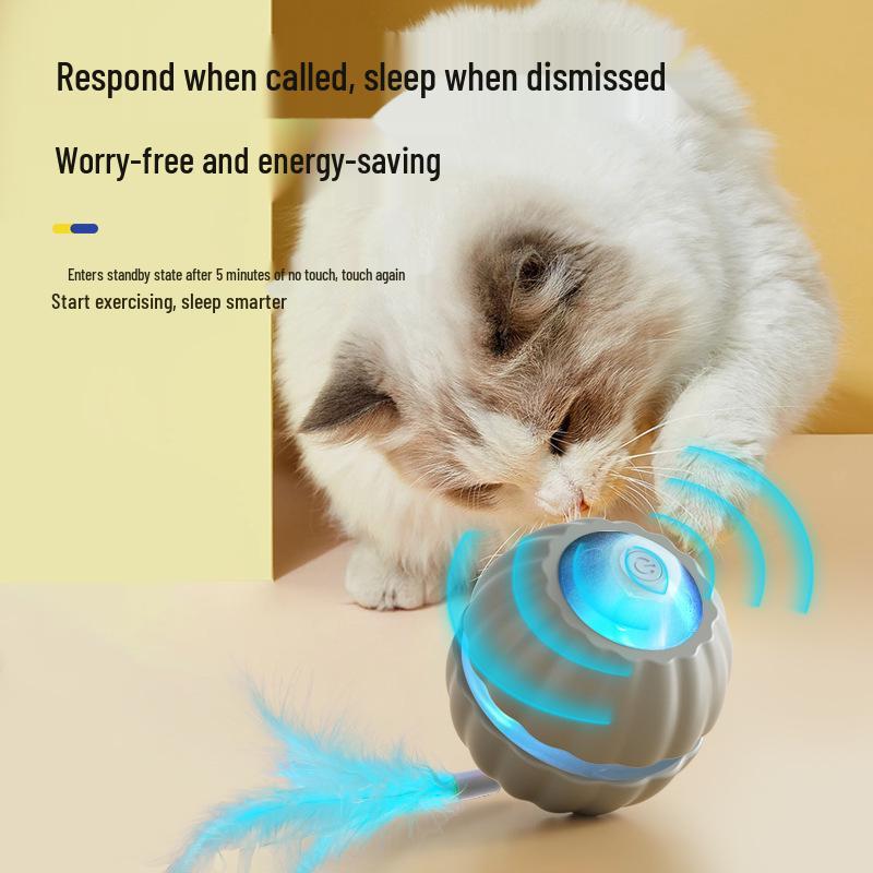 Elektrischer Intelligenter Geräuschmachender Katze und Hund Zerrspielzeugball - Automatisch, Bissfest, Selbstunterhaltend, Dekompressionsspielzeug