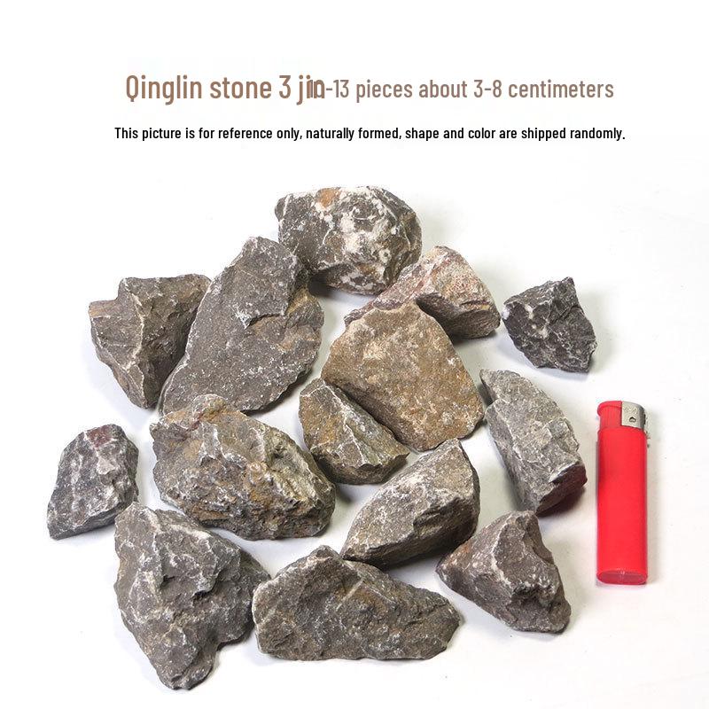 Azure Dragon Aquarium and Bonsai Landscaping Stone Set