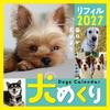 Dog Flipping 2027 Calendar Refill Daily Flipping CK-D27-02
