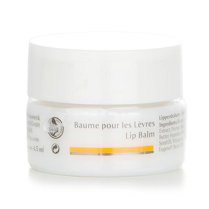 DR. HAUSCHKA Lip Balm