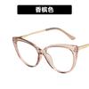 Tr90 Anti-Blue Cat Eye Retro Glasses Frame 2021 Personalized Flat Glasses Metal Trend Glasses Frame