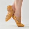 Soft-soled Training Dance Shoes with Canvas Panels Adult Yoga and Ballet Shoes for Dance and Posture Training