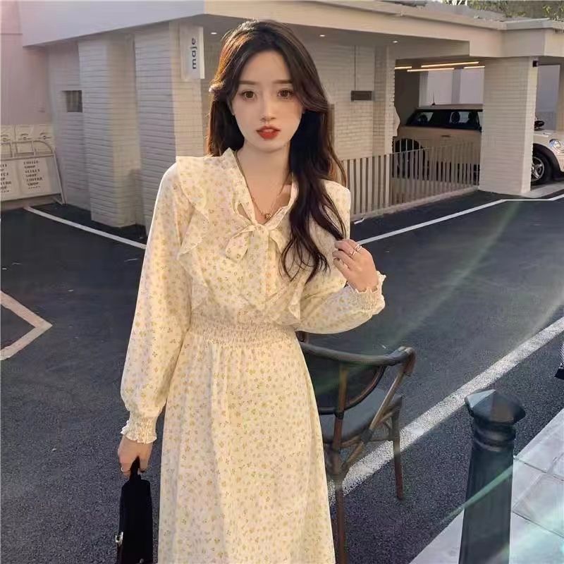 Light-colored Floral Korean Silk Long Dress Women's Spring Autumn French Style Long Skirt
