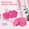 50-Count Facial Sponges Compressed, Face Sponge Sponges for Face Cleansing, Exfoliating Mask, Makeup Removal for Travel and Home