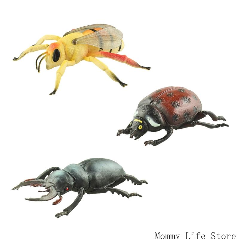 Simulation Insect Model Figure Children Science Fair Project Interaction Toy 3Pc