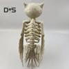 Halloween Skeleton Owl Decoration Realistic 12" Skeleton Animal Figure Plastic Owl Bone Model for Haunted House Party Decor