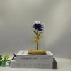 Gold Leaf Preserved Rose in Glass Dome with LED Light