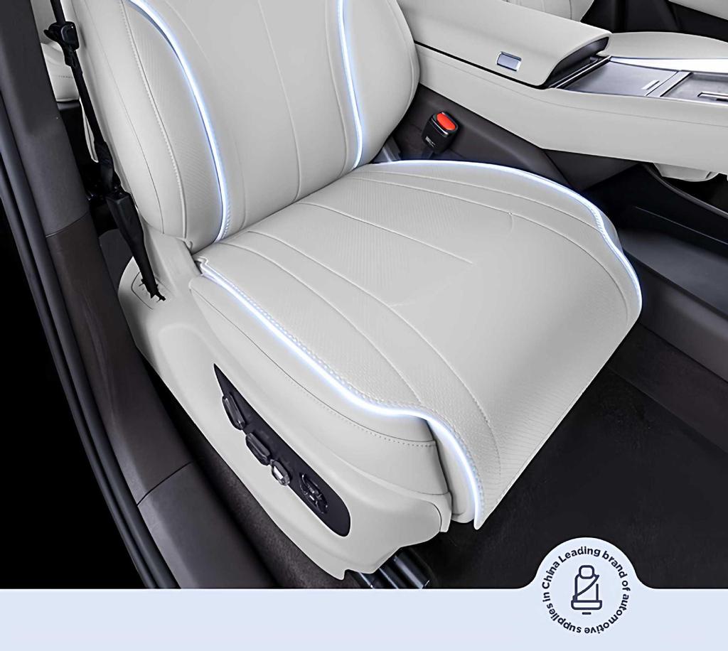 Wey Gaoshan 7-Seater All-Season Ventilated Seat Cover: Universal Fit for 25 Models