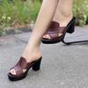 Fashion Big Four Summer Trendy New Women's Cool Slippers Coarse Heels Mom High Heels Anti Platform 100 Casual Women's Shoes