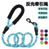 Dog Leash, Night-time Outdoor Glowing Dog Walking Leash, Explosion-proof, Shock-resistant, Wear-resistant Nylon Dog Leash
