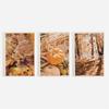 3pcs Rustic Farmhouse Fall Print Set, Pumpkin And Wheat, Warm Autumn Art, Frost Covered Leaves, Fall Forest Leaves Poster