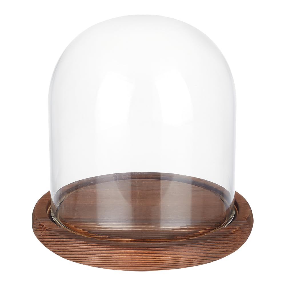 

BENECREAT 14x13cm Transparent Eternal Flower Glass Cover Cloche Dome Micro Landscape with Wood Base for DIY Flower Crafts