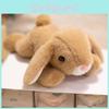 Adorable Rabbit Plush Toy For Girls Birthday Gift And Office Stress Relief