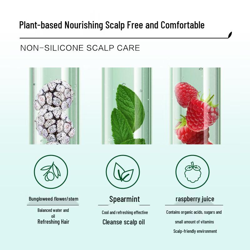 Ziyuan Tea Seed Silicone-Free Oil Control Anti-Dandruff Shampoo