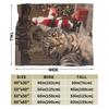 Cat Selfie with Santa Blanket Quality Super Soft  Throw Blanket Autumn Girls Boys Home Decor Comfortable Bedspread