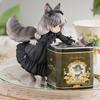 Kočičí dívka Lolita Figurka Čajová krabička Anime Roztomilá Ribose Star Soška Figurky Plechovka na čaj Nádoba Organizér Dekorace do obývacího pokoje Domácí ozdoba
