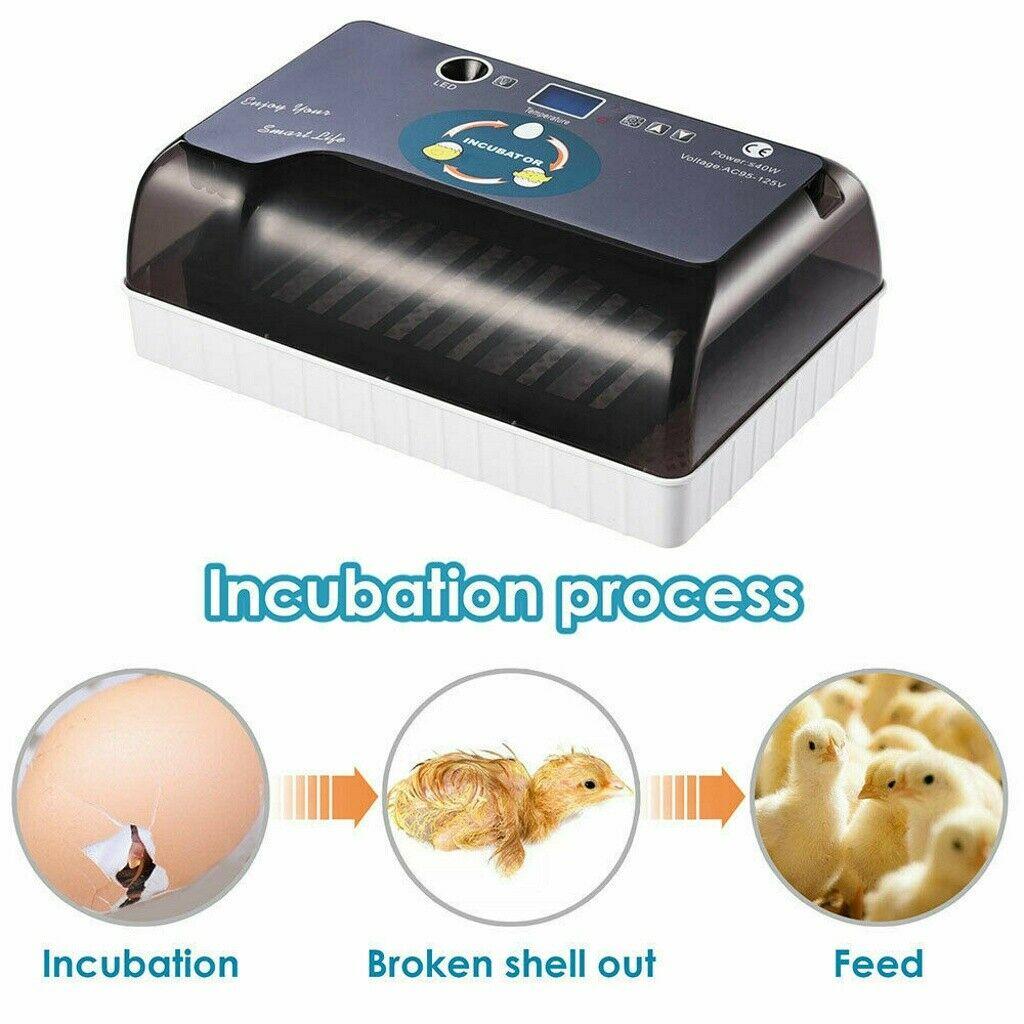 1pc Fully Automatic 12 Eggs Incubators Intelligent Incubator Hatching Machine Small Household Incubator Gardening Accessories