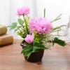1 Set Artificial Simulation Silk Peony Flowers + Green Plant Bonsai With Flower Potted Wedding Party Home Decoration