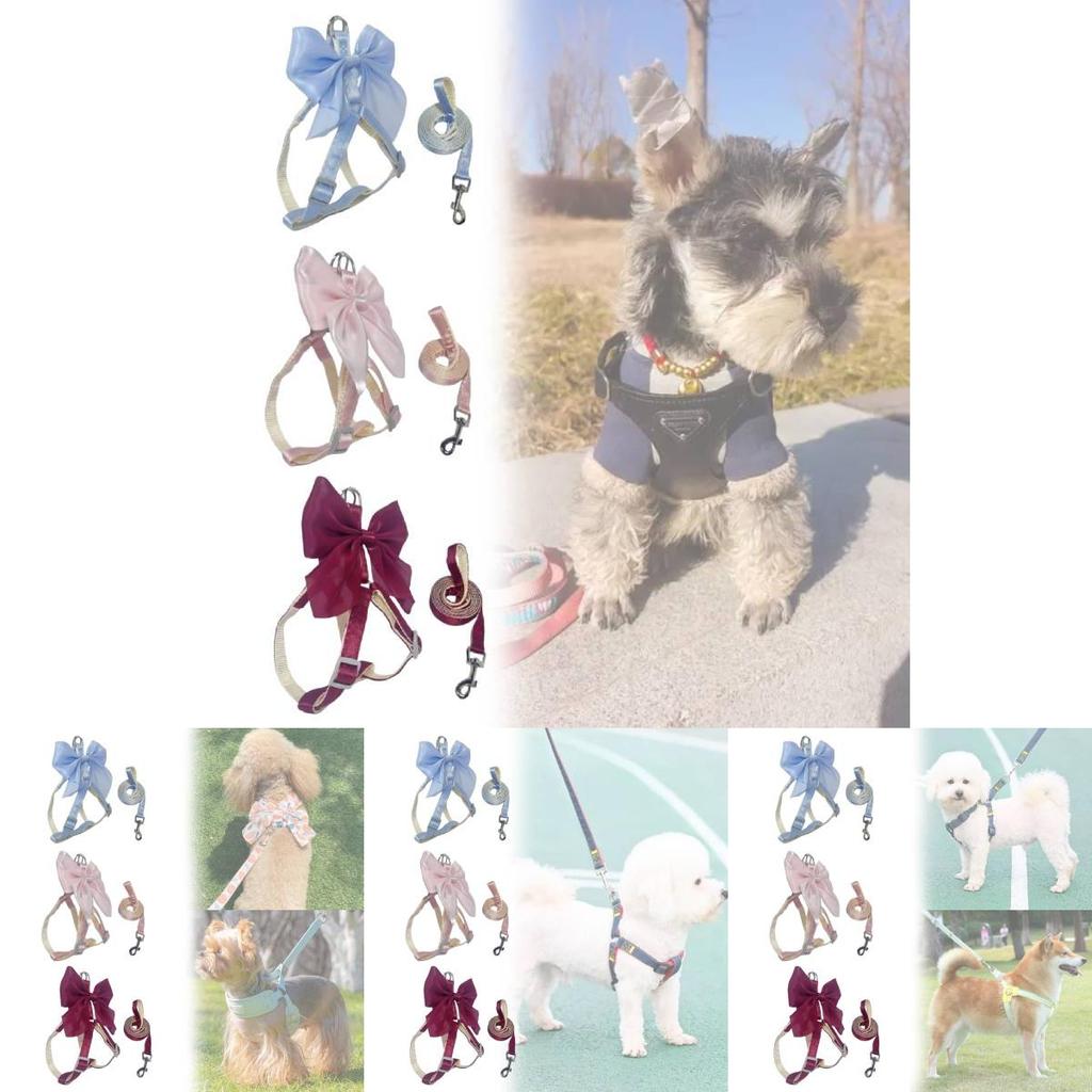 Pet Dog Leash Set With Bright Silk Large Bowknot Chest Harness For Small Dogs And Cats