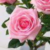 Echte Haptik Künstliche Latex-Rosen Nordischer Esstisch Heimdeko Rosa Weiß Feuchtigkeitsspendende Künstliche Rosen Hochzeitsdekoration
