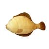 Steaming Boiled Flatfish Ultra Big Cushion Plush Toy for 70cm Fishing, Jigging, Fishing, Display, Approx.