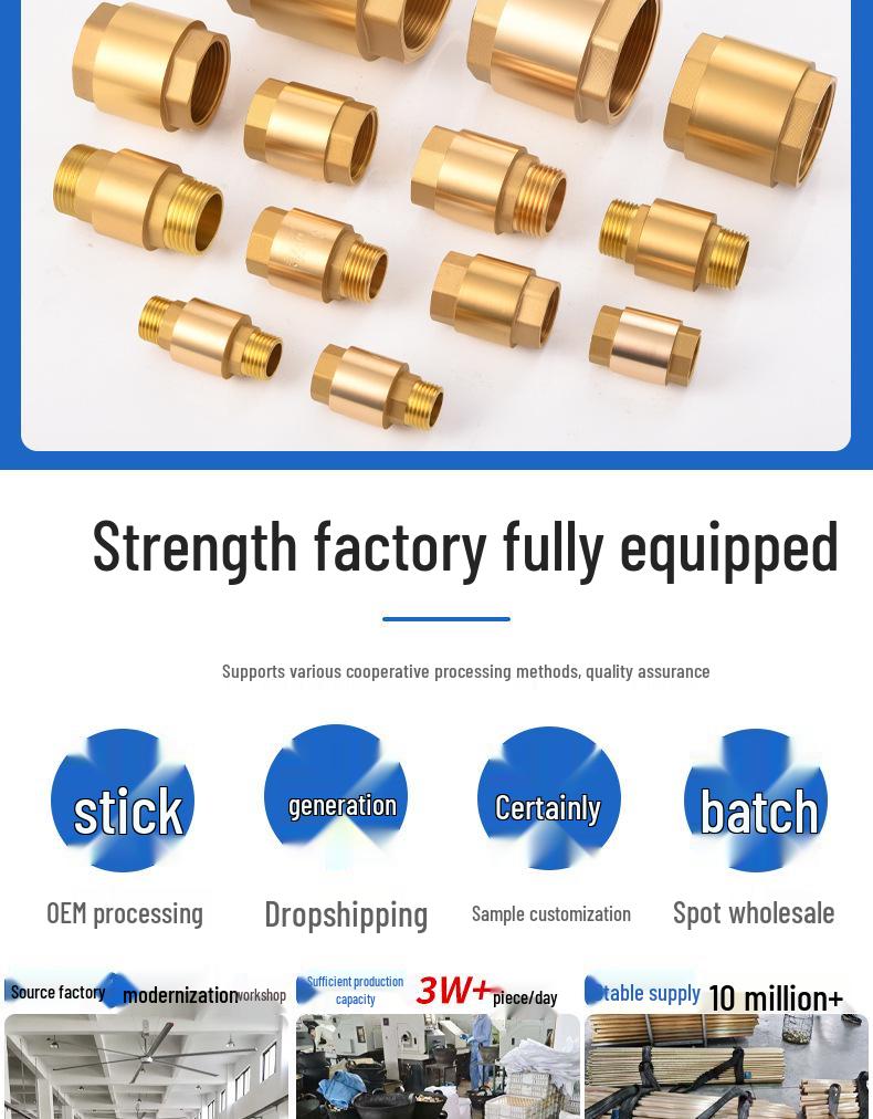 Brass One-Way Lift Check Valve & Backflow Preventer for Water Systems