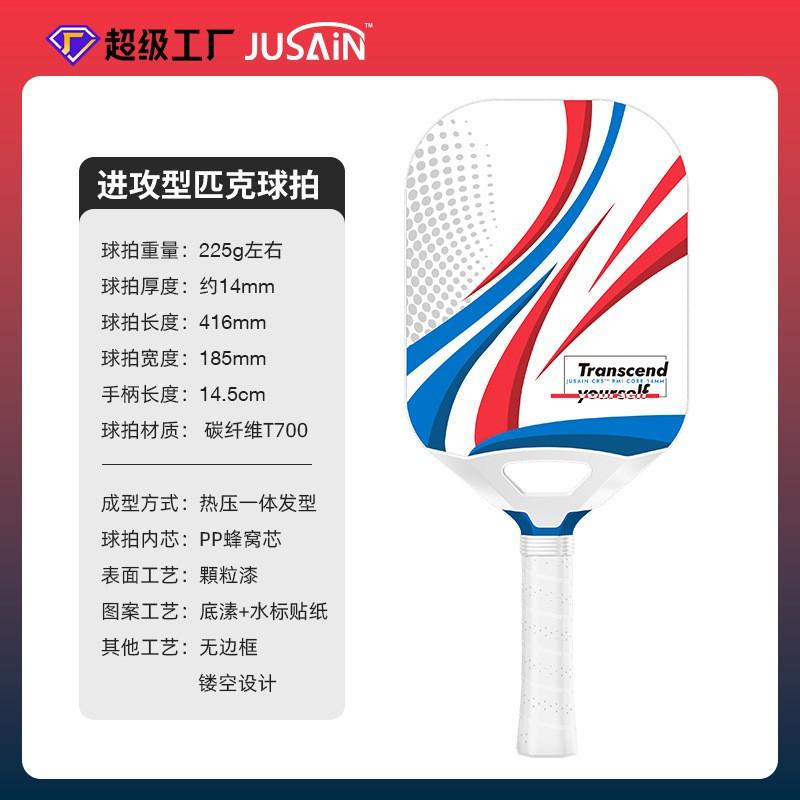 Pickleball Paddle Professional 14mm Honeycomb Core Competition Grade Carbon Fiber