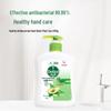 Dettol Botanical Hand Wash 500g