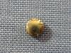 Part C 104 Gold Crown for Chronomaster and Other Models 506-139 (Unmarked)
