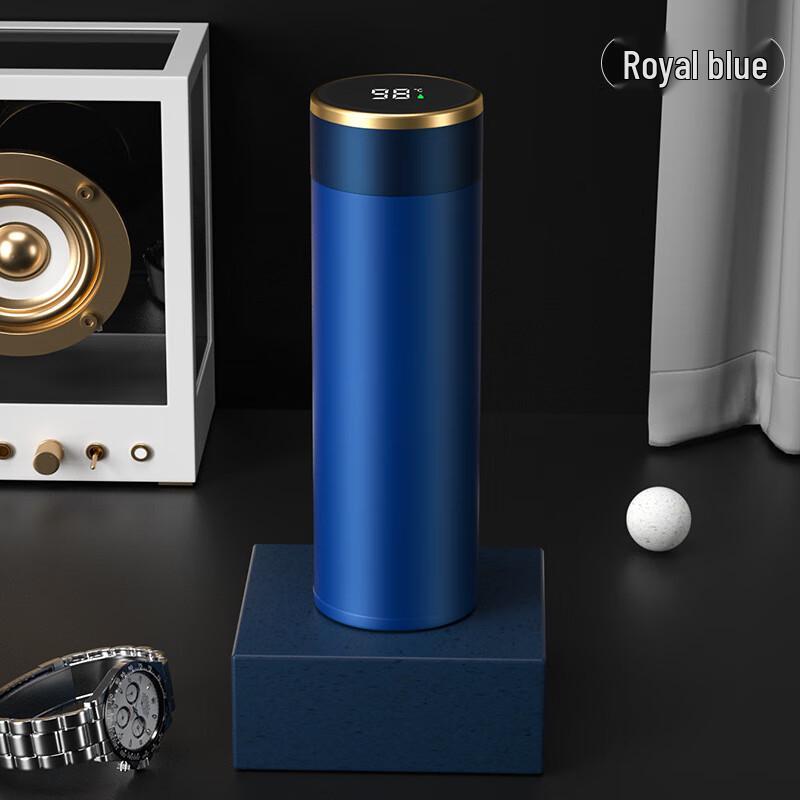 ZISIZ Smart Insulated Tea Infuser Bottle