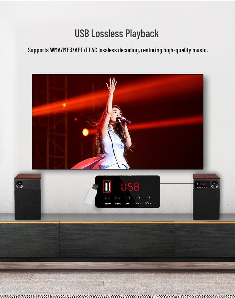 Haoyun HiFi Audiophile 2.0 Desktop Bookshelf Speakers for TV or Computer