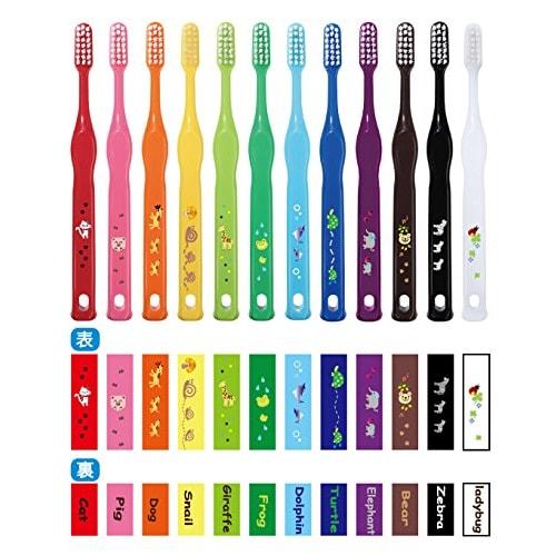 Lapis Happy Color Junior Dental Pens (12 Pens) for Ages 5 and Up. Starting At \1,260. Made In Japan. (Happy Color Clear Case)