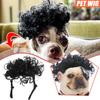 Pet Cat Dog Funny Show MOE Wig Explosives Head With Fringe Small Braids Wig