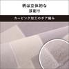 Panasonic Hot Electric Triple Insulation Energy Timer Dust Mite 2 Side Changeable Cover 2 Tatami Grey Carpet, Carpet, Structure, Saving, Function,