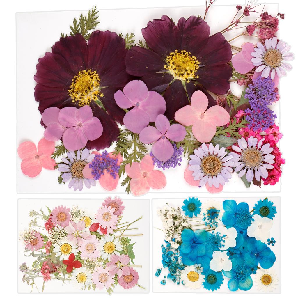 104Pcs Pressed Dried Flowers Set Real Natural Pressing Floral Leaves DIY Multipurpose Real Pressed Flowers Dry Leaves Kit