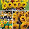 42cm Sonnenblumen Kopfbedeckung Lustige Performance Requisiten Sonnenblumen Hut Kapuze Für Tanzparty Festival Spiele Kinder Jugendliche Erwachsene Accessoires