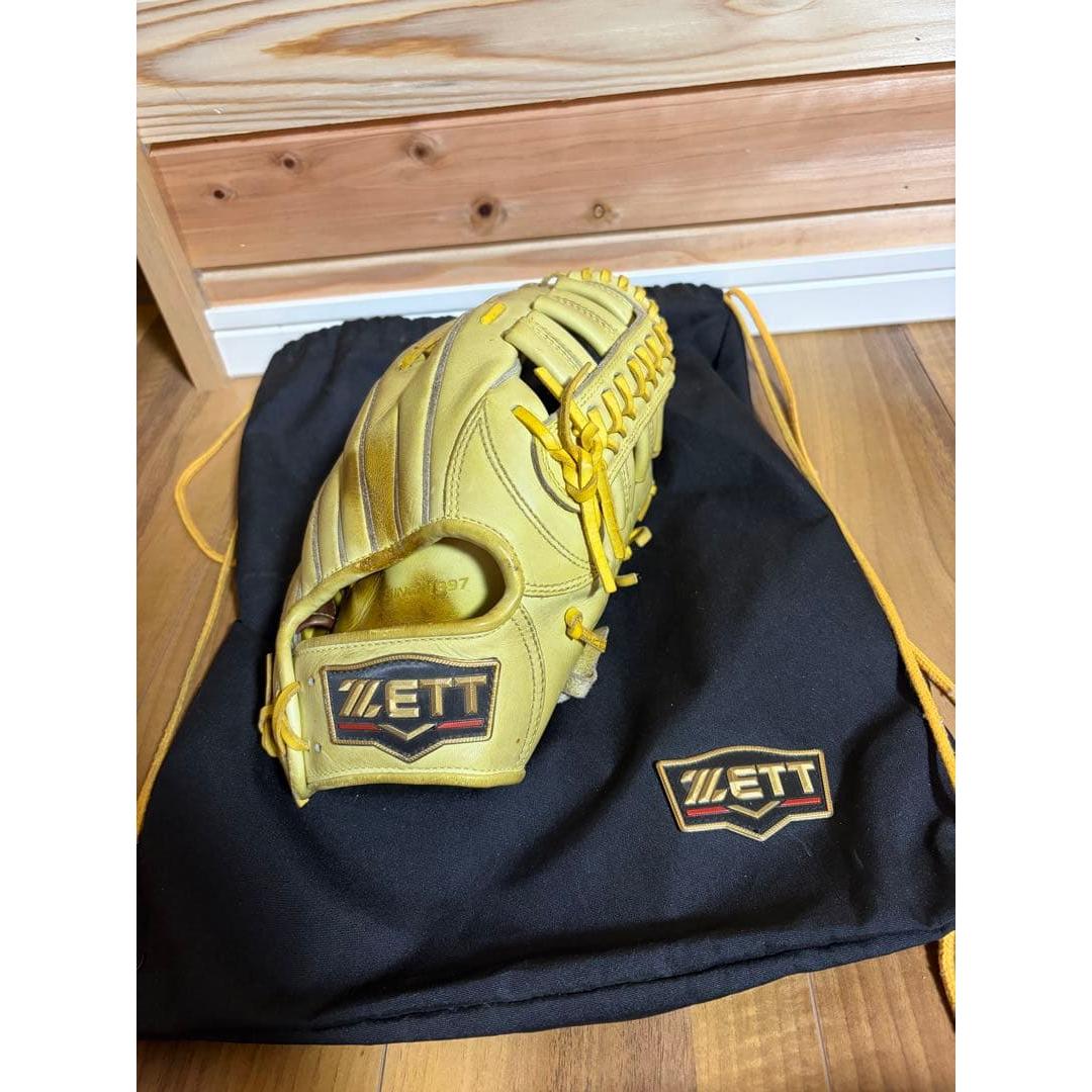 Used ZETT PROSTATUS hardball gloves with bag