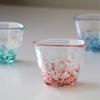 ADERIA Tsugaru Vidro Tsugaru Flower Free Glass Apple 175ml Made in Japan Presentation Box Highball Cup Beer Stylish Glass Sake Tumbler Gift Women Day