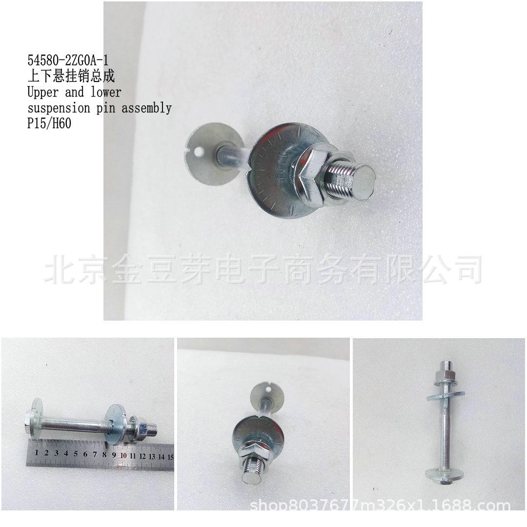 Upper & Lower Suspension Pin Assembly for Nissan P15 H60 (54580-2ZG0A-1) Neutral