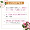 Steam Rose Absolute Bottle 300g in STEAMCREAM Moisturizing Cream for Whole Body Body Cream Hand Cream Oatmeal Rose [Official Cream] [Made Japan]