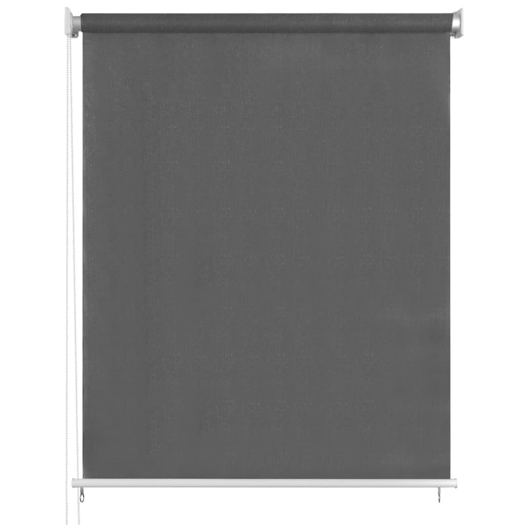 Outdoor Roller Blind 60 x 230 cm Anthracite